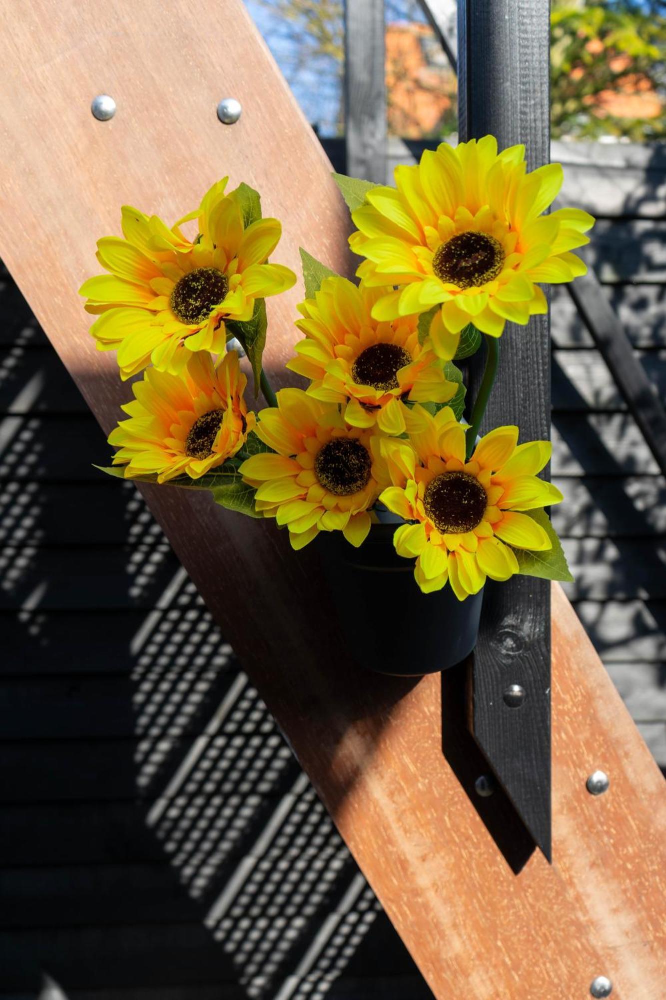 Sunflower Bed & Breakfast