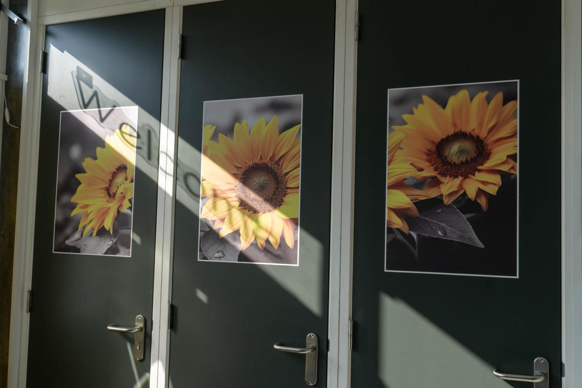 Bed & Breakfast Sunflower *